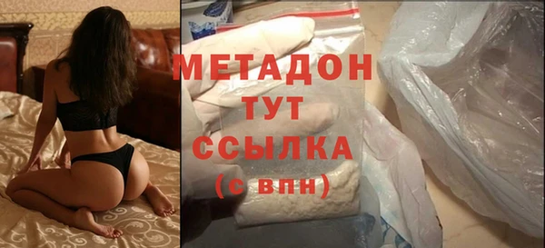 индика Дмитров