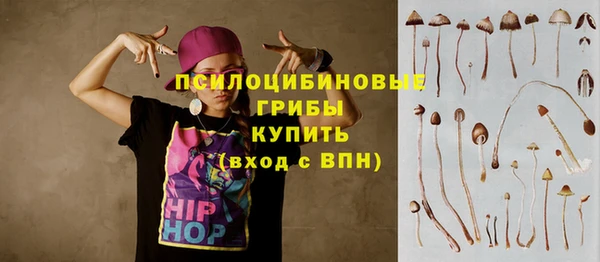 круглые Ельня