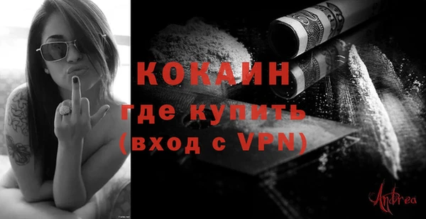индика Дмитров