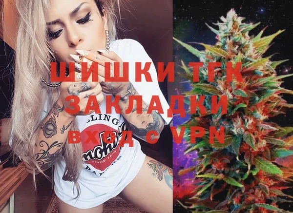 прущий лед Дмитриев