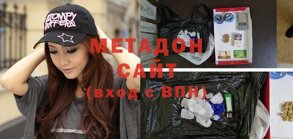 индика Дмитров