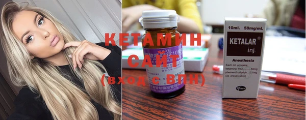 индика Дмитров