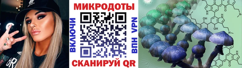 Псилоцибиновые грибы ЛСД Купить Геленджик